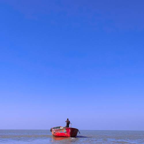 Photo #8392500