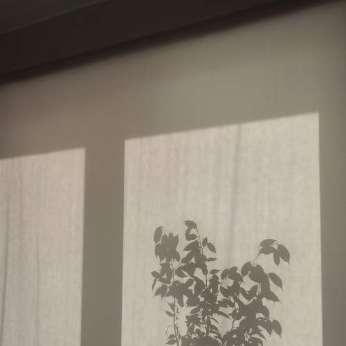 Photo #8392553