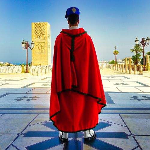 Photo #8392933