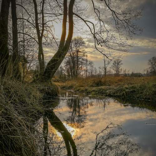 Photo #8393026