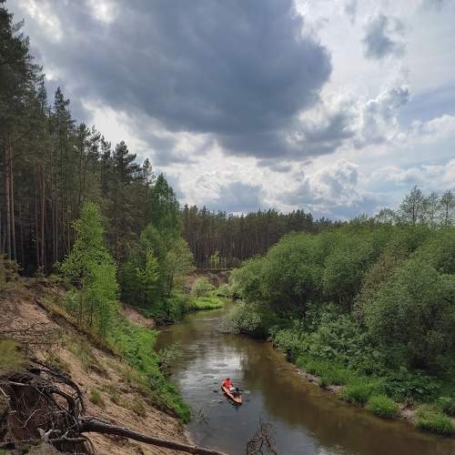 Photo #8393211
