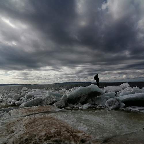 Photo #8393542