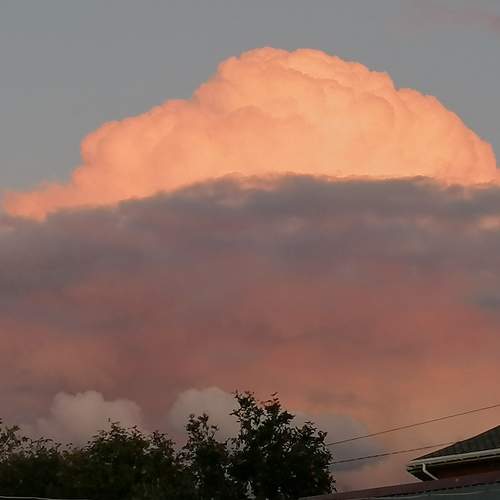 Photo #8393563