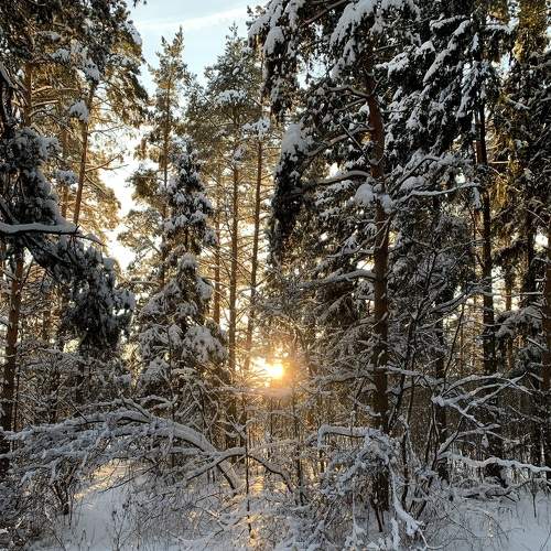 Photo #8393833