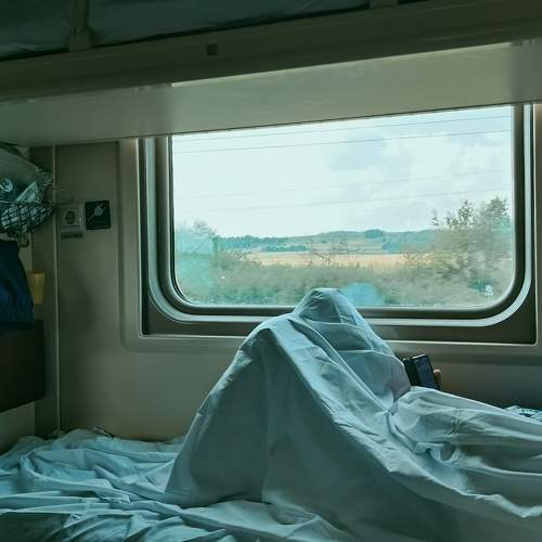 Photo #8393934