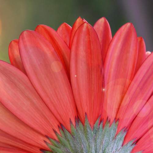 Photo #8393964