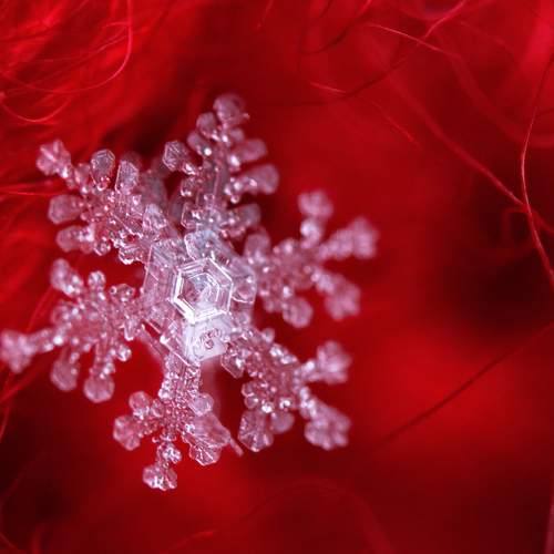 Photo #8394237