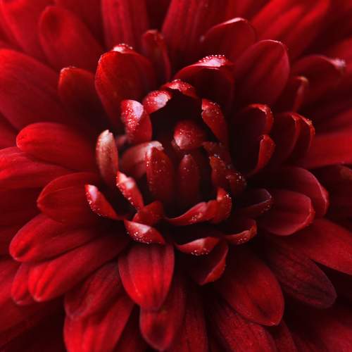 Photo #8394238