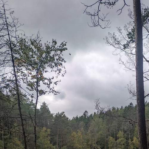 Photo #8394499