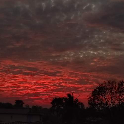 Photo #8394500