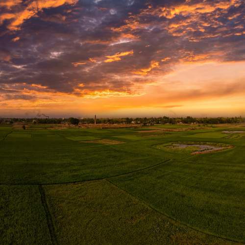 Photo #8394536