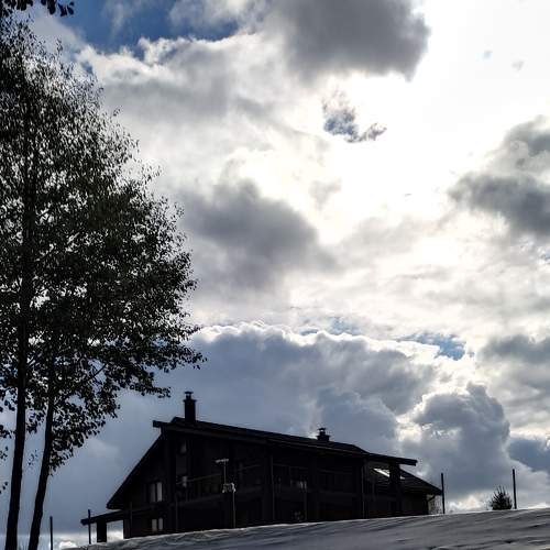 Photo #8394850