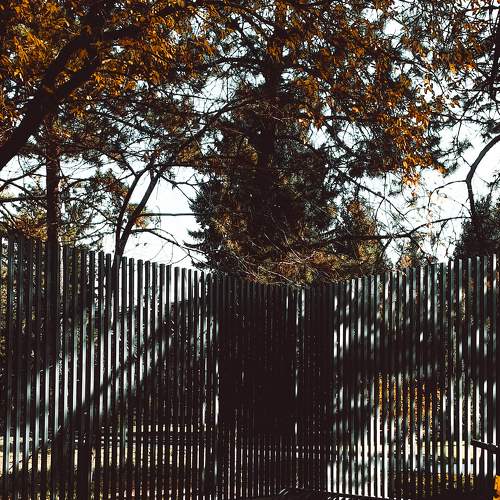 Photo #8395221
