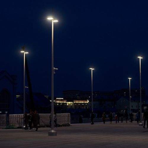 Photo #8395314