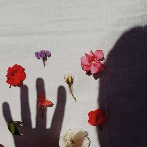 Photo #8395907
