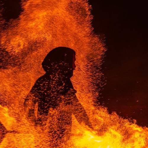 Photo #8395971