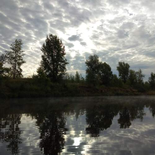 Photo #8396149