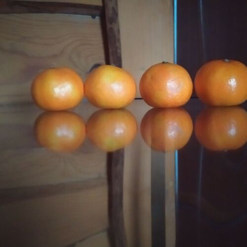 Photo #8396207