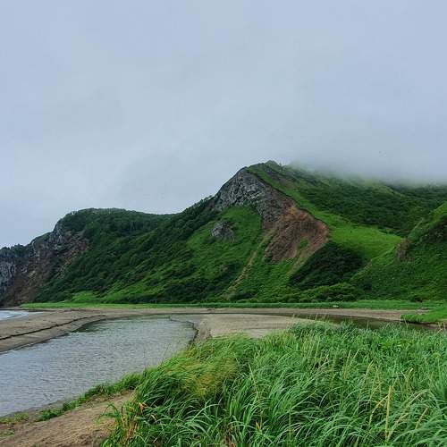 Photo #8396257