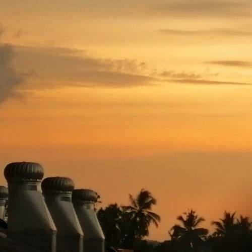 Photo #8396338