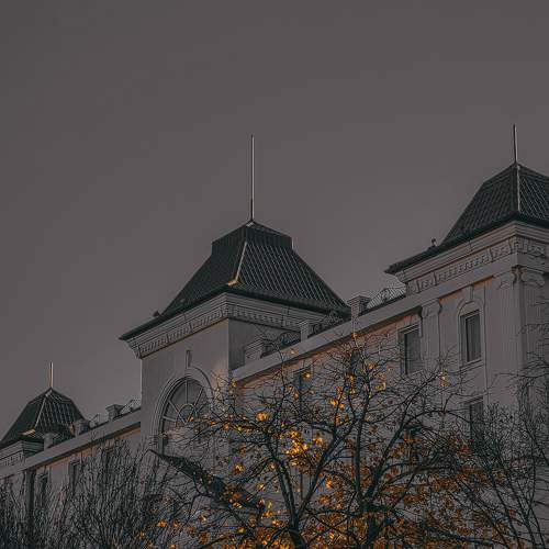 Photo #8396342