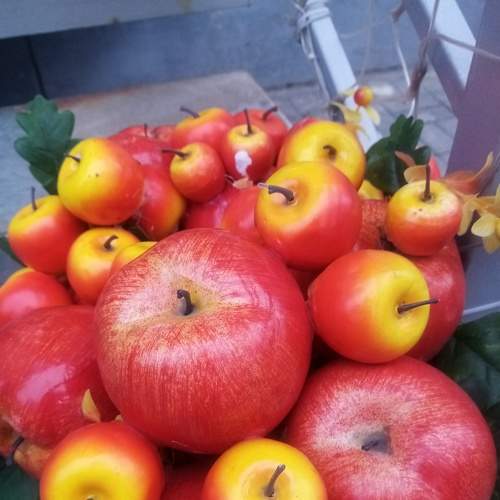 Photo #8396647