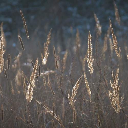 Photo #8396672