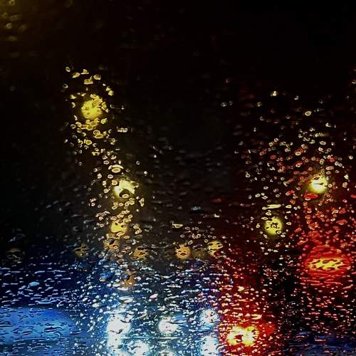 Photo #8396771