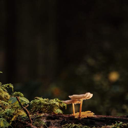 Photo #8396773