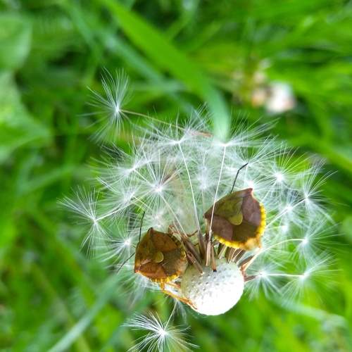 Photo #8397218