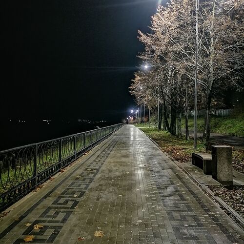 Photo #8397599