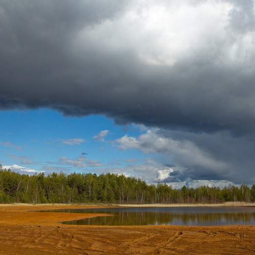 Photo #8397776