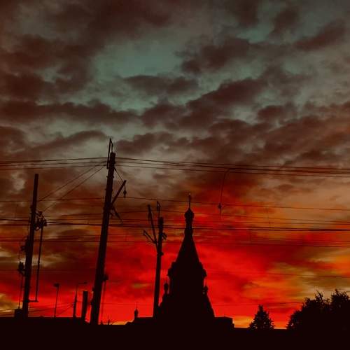Photo #8398520