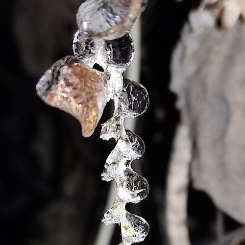 Photo #8398620