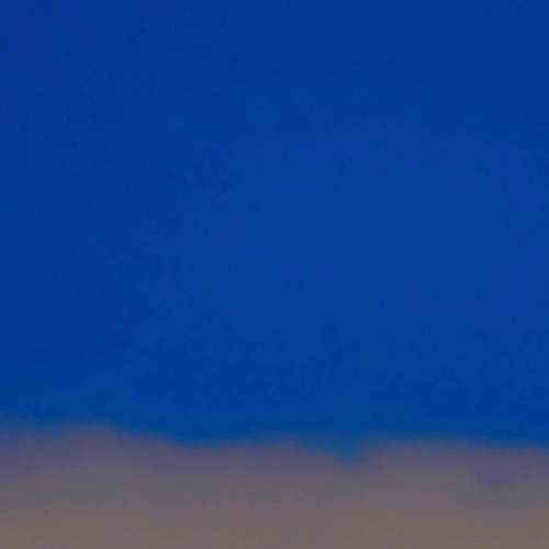 Photo #8398849