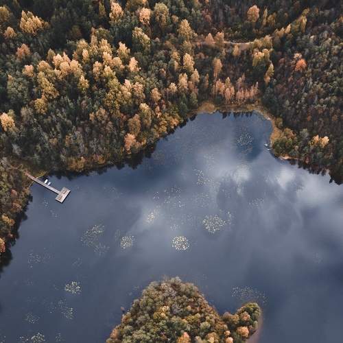 Photo #8399018
