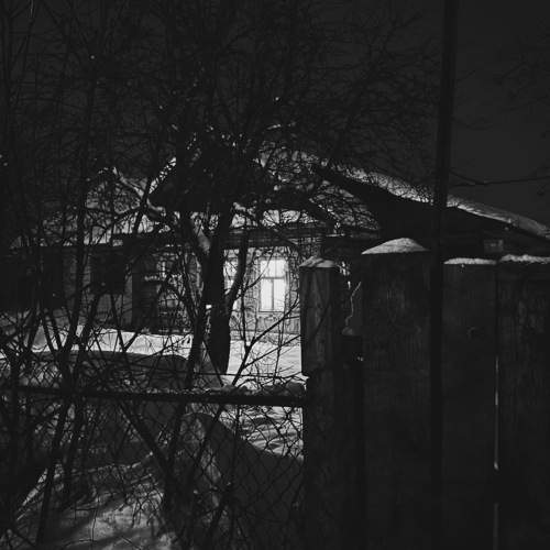 Photo #8399316
