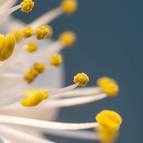 Фотография #8399384