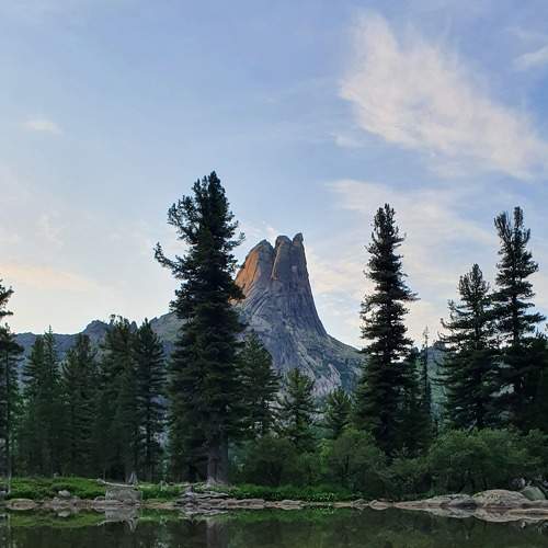 Photo #8399537