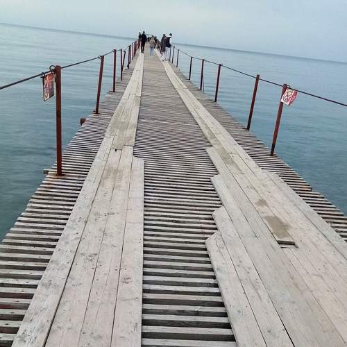 Photo #8399676