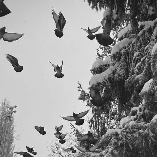 Photo #8399744