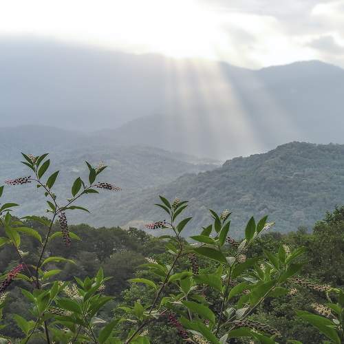 Photo #8400053