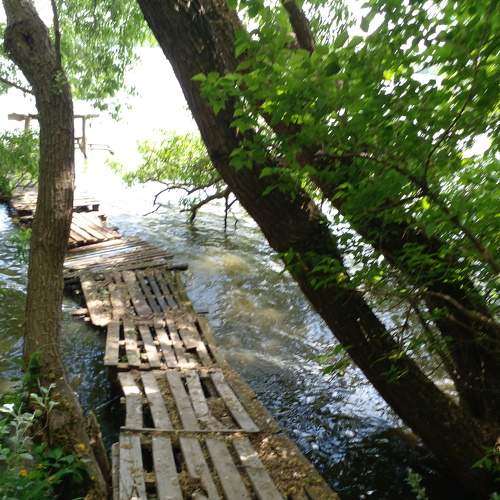Photo #8400093