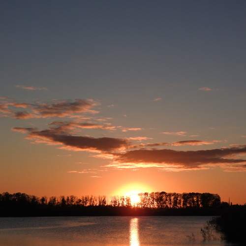 Photo #8400099