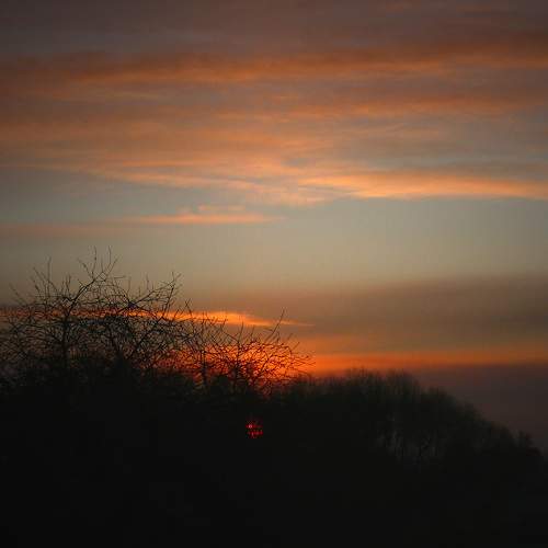 Photo #8400275