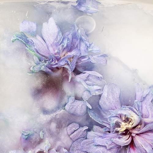 Photo #8400783