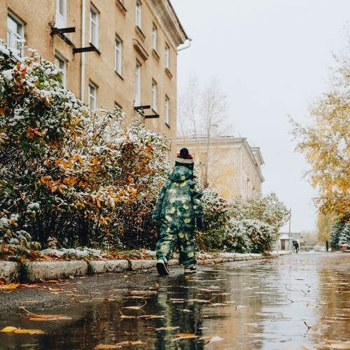 Photo #8401376