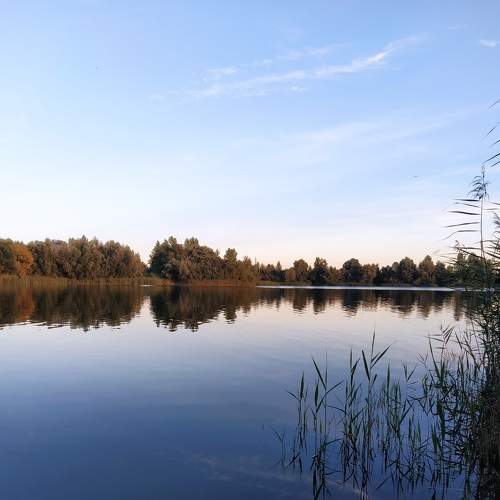 Photo #8401734