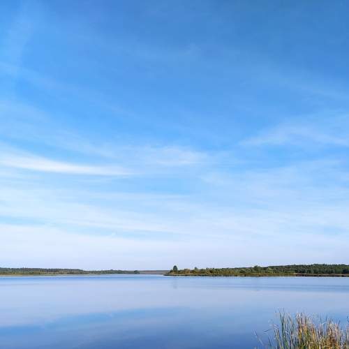 Photo #8401748