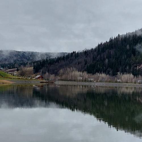 Photo #8401848